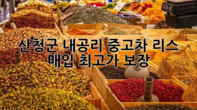 산청군 내공리 중고차 리스 매입, 최고가 보장!